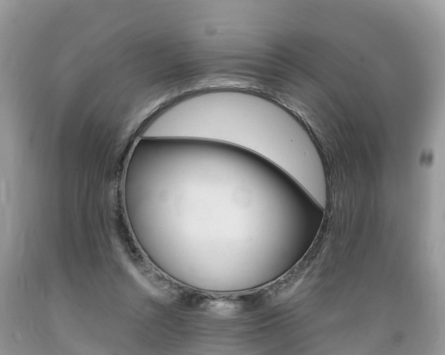 X0000089670352200706210758