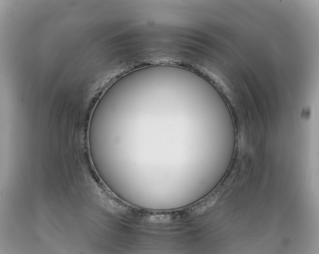 X0000089670353200706210758