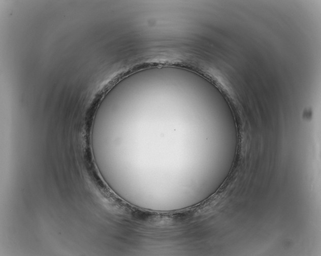 X0000089670354200706210758
