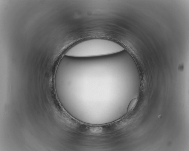X0000089670355200706210758