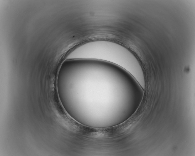 X0000089670356200706210758