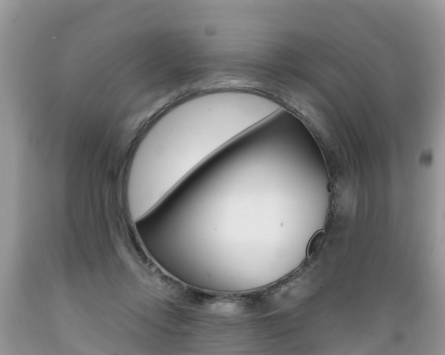 X0000089670358200706210758