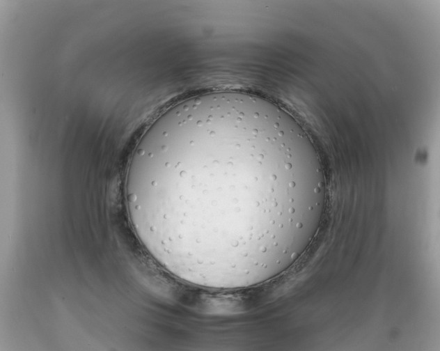 X0000089670359200706210758