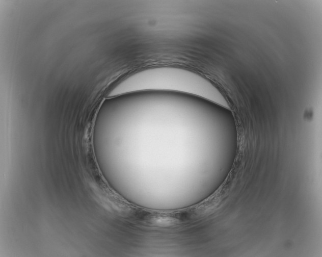 X0000089670360200706210758