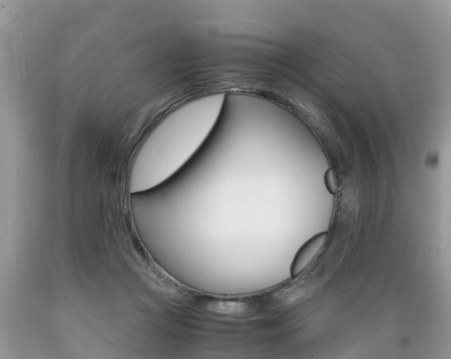 X0000089670361200706210758