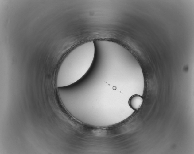 X0000089670362200706210758