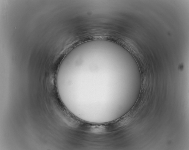 X0000089670363200706210758