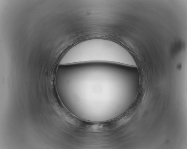 X0000089670366200706210758