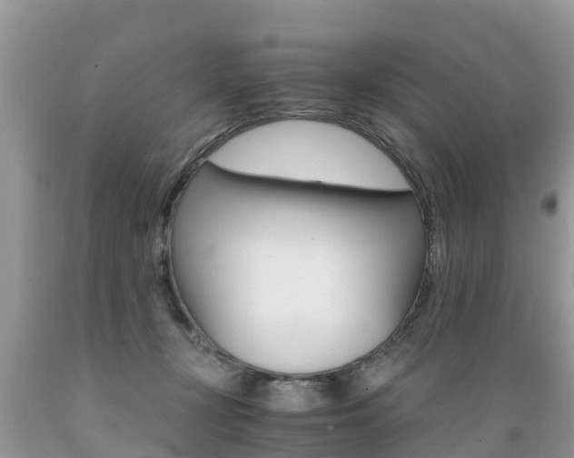X0000089670367200706210758