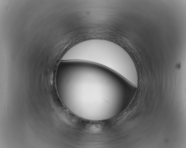 X0000089670368200706210758
