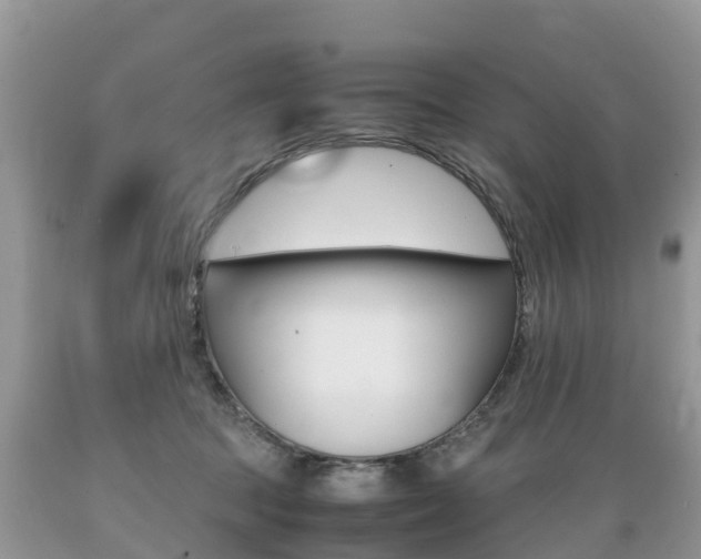 X0000089670369200706210758