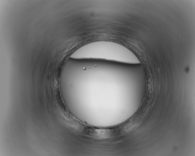 X0000089670371200706210758