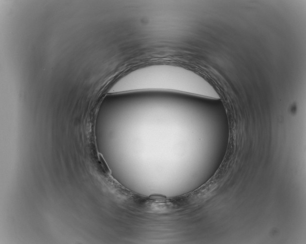 X0000089670372200706210758