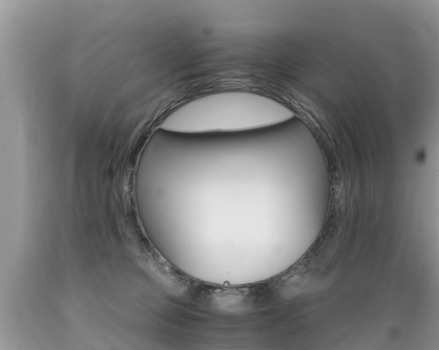 X0000089670373200706210758
