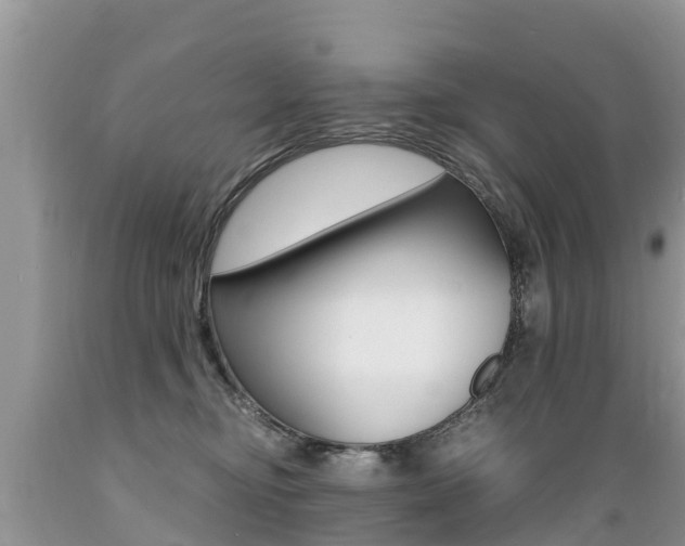 X0000089670374200706210758
