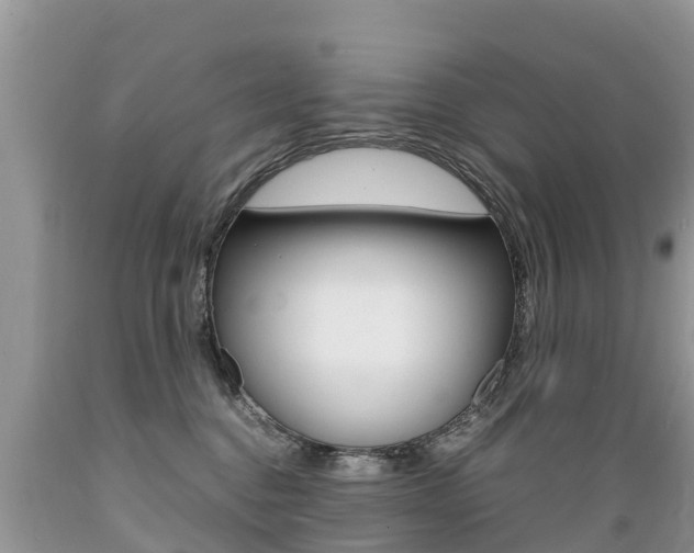 X0000089670376200706210758