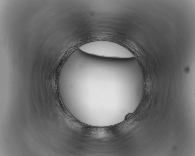 X0000089670377200706210758