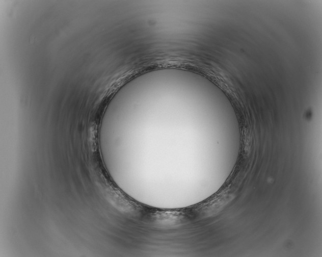 X0000089670378200706210758