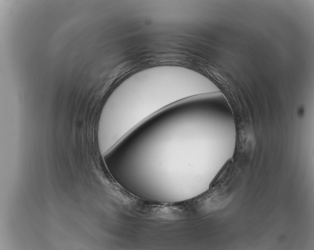 X0000089670379200706210758