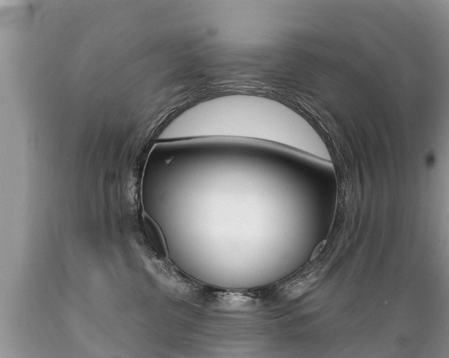 X0000089670380200706210758
