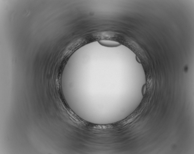 X0000089670381200706210758