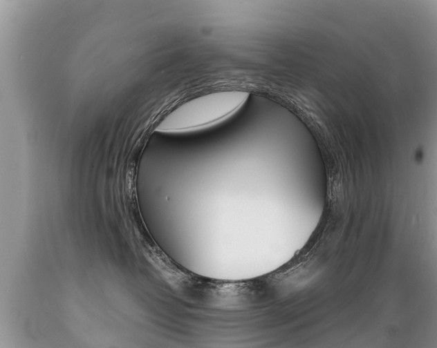 X0000089670382200706210758