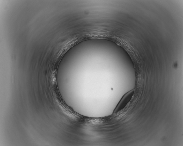 X0000089670383200706210758