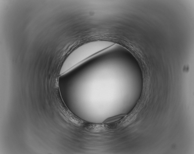 X0000089670384200706210758
