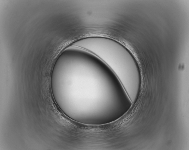 X0000089670385200706210758