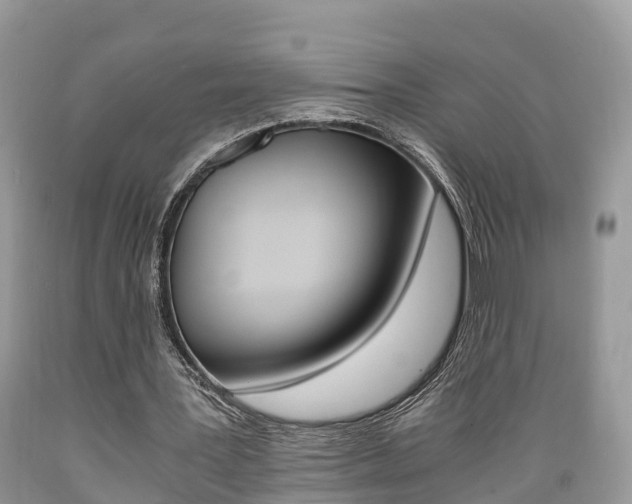 X0000089670387200706210758