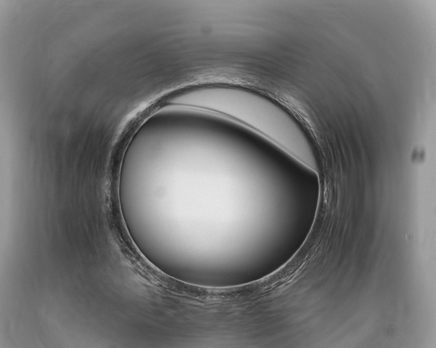 X0000089670388200706210758