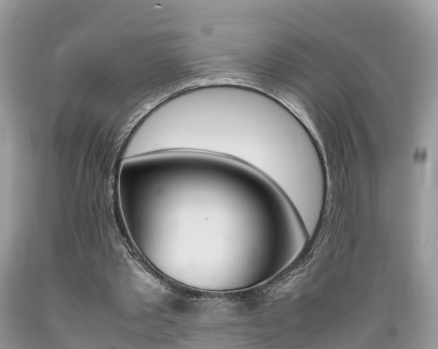 X0000089670389200706210758