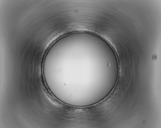 X0000089670390200706210758