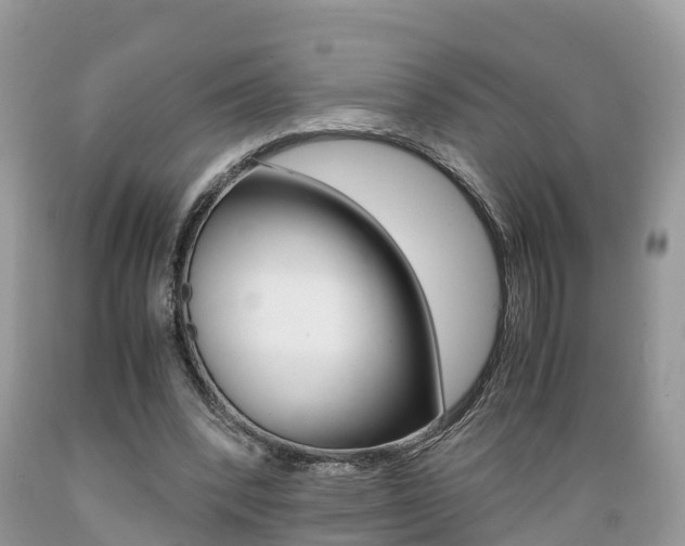 X0000089670392200706210758