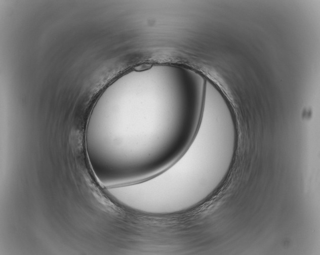 X0000089670393200706210758