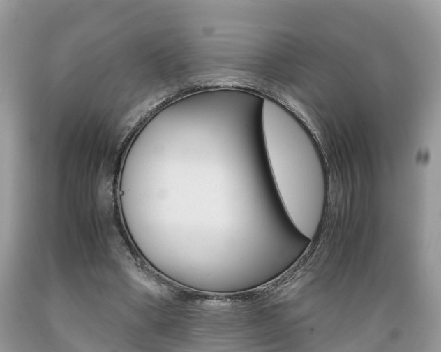X0000089670394200706210758