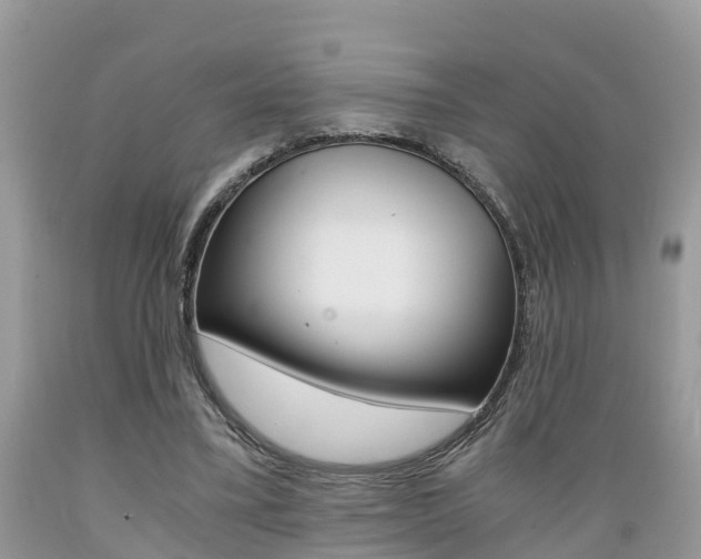 X0000089670395200706210758