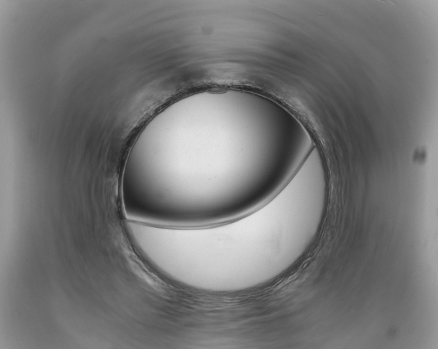 X0000089670397200706210757