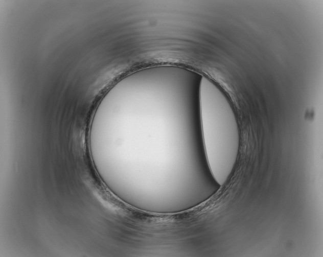 X0000089670398200706210757
