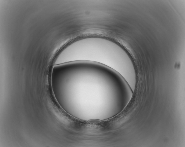 X0000089670399200706210757