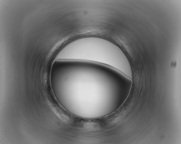 X0000089670400200706210757