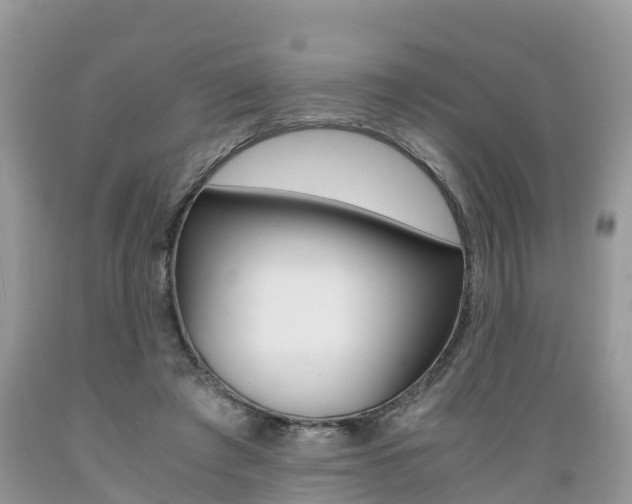 X0000089670401200706210757
