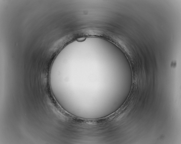 X0000089670402200706210757