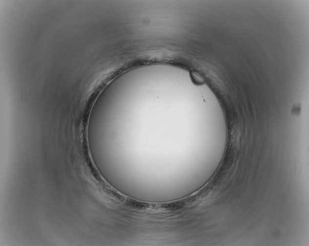 X0000089670403200706210757