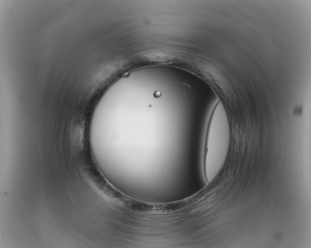 X0000089670404200706210757