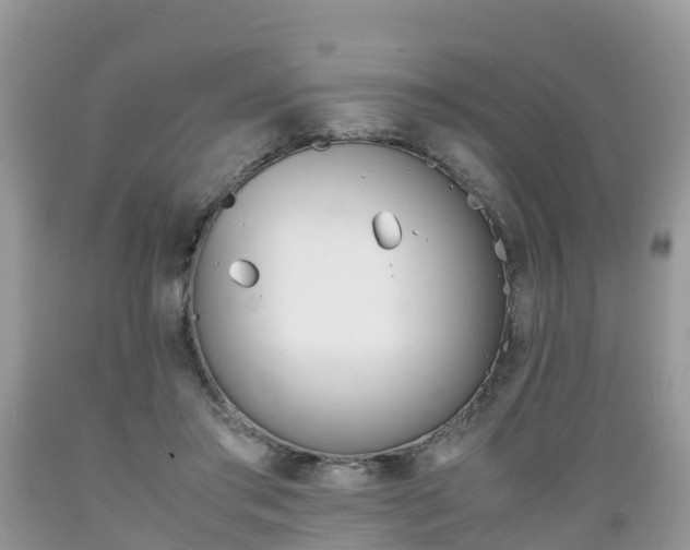 X0000089670405200706210757