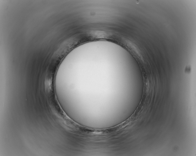 X0000089670406200706210757