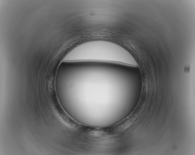 X0000089670408200706210757