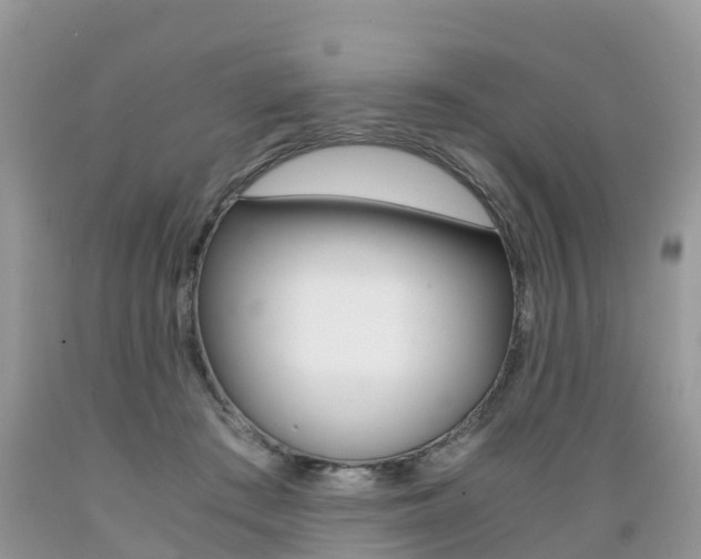 X0000089670409200706210757