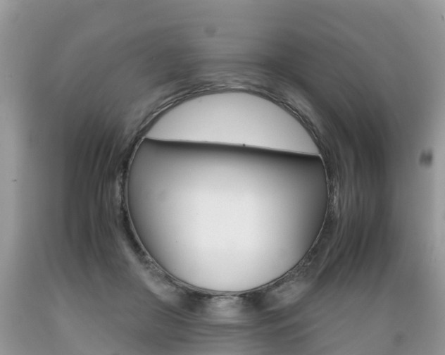 X0000089670410200706210757